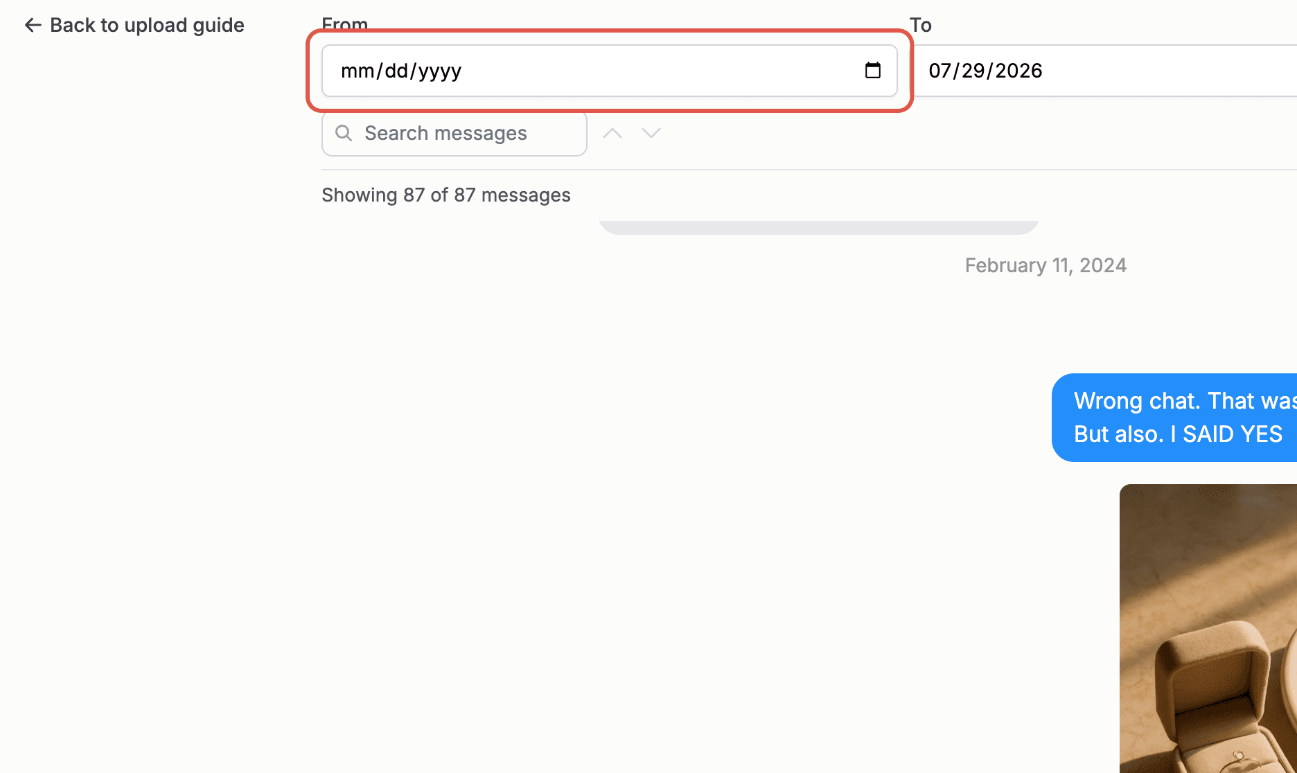 The From and To date fields with the Filter button on the selection screen